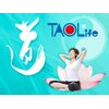 気功の源流 TAOの「気のトレーニング」道家道学院 &nbsp;埼玉校のお店ロゴ