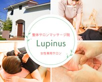 ルピナス(Lupinus)