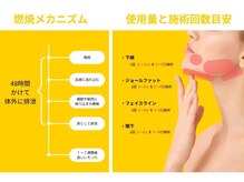 レモンボトル部位別使用量の目安