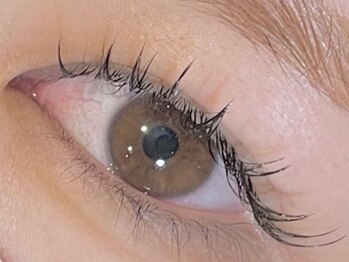 ホーム(HOME)/立ち上げ♪自まつ毛最大限に!