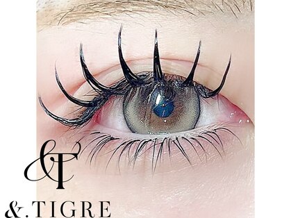 アンドティグルアイ 光の森(&.Tigre eye)の写真