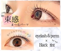 ドルーチェ(Doluce)