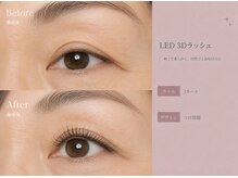 ミューズ(MUSE)の雰囲気(高宮/まつ毛パーマ/マツエク/眉毛/LED/フラットラッシュ/眉毛WAX)