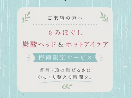 ロータス(Lotus)の写真