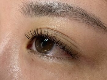 ウルカ アイラッシュ(uruka EYELASH)/フラットラッシュ 80本