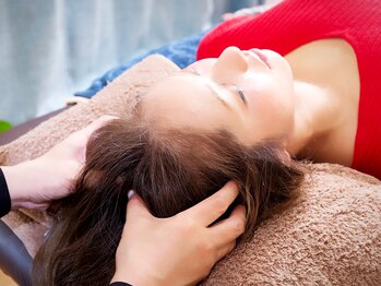 ハミングバード/ドライにスパ