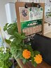 平日全身もみほぐし60分お手頃価格3300円●￥4000→￥3300で全身リフレッシュ