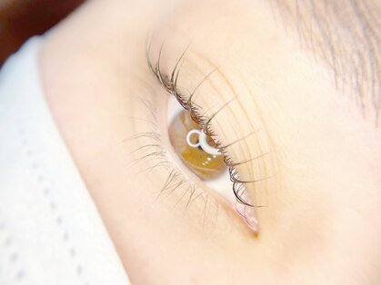 ベルール(Belulu)の写真