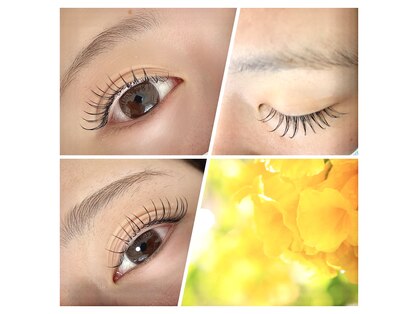 ラベイユ(Labeille)の写真