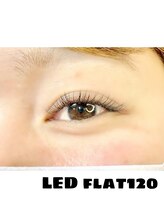 ティーイー(TE)/LEDフラット120本