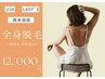 【学割U24】【LADY'S】全身脱毛(顔込み/VIO込み)12000円