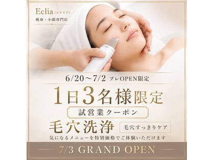 エクリア(Eclia)の写真