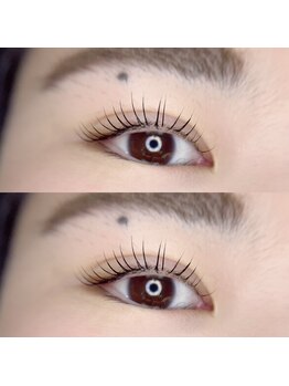 デイジー(DAY'S EYE)/中央はしっかり立ち上げ◎