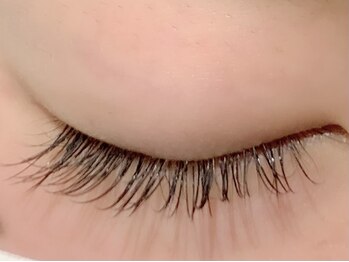 カラン 焼津店(CALIN)/フラットブラウン100本