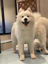 テラ エステ リラクゼーション(Te ra)&nbsp;木田 