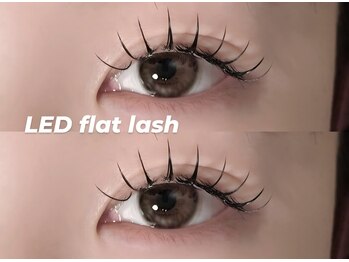 プラス ファースト(Plus 1st)/アンドヘルシーbyKimura