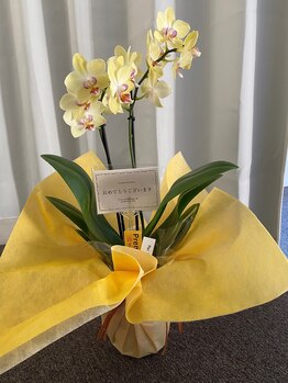 メーオ/開店祝いでお花頂きました！