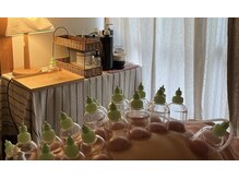 ロサ ケンティフォリア(Rosa centifolia)の雰囲気（必要に応じて置き型カッピングスライドカッピングを使用します）
