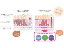 プレイス 太融寺店(PLACE)/ヒト幹細胞培養液エキス