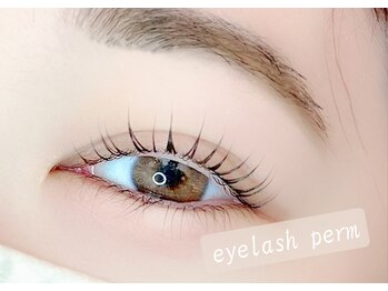 アニドット(ani.)/【立ち上げカール】