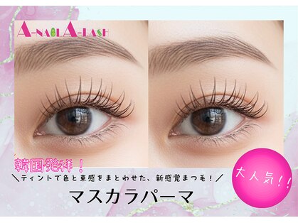 エーネイル エーラッシュ(A-NAIL A-LASH)の写真
