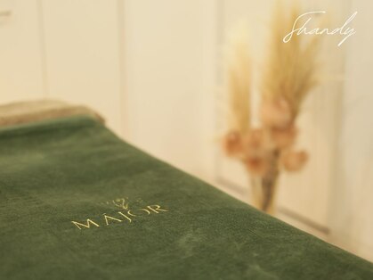 シャンディ(Shandy)の写真