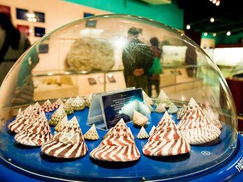 アジアンリラクゼーション ヴィラ 大橋店(asian relaxation villa)/タイ：プーケット貝殻博物館