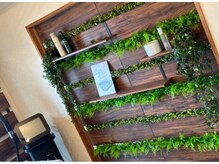 フェリーバ 浦和店(FELIVA)/全身脱毛が「スタンダード」