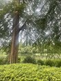 リノ リラクシング アンド スパ 中目黒(Lino Relaxing & Spa) たまに自然を見に外に出かけます