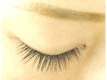 カロン(kalon)/フラットラッシュ