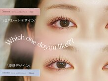 ザ サロン ステラ 五反田(THE SALON stella)/プランプラッシュリフト