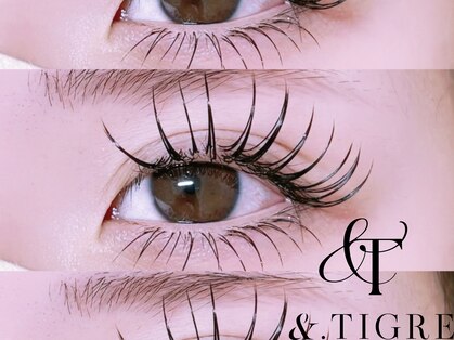 アンドティグルアイ 光の森(&.Tigre eye)の写真