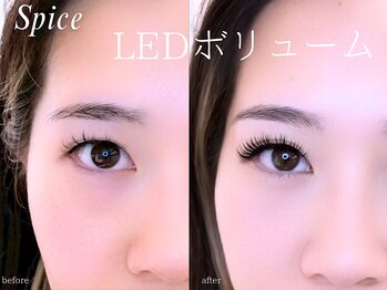 スパイス なんば店(Spice)/【LEDボリュームラッシュ1２0束