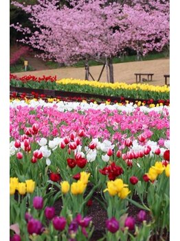 まごんて整体院/富山砺波チューリップ公園【腰】