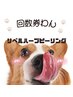 肌質改善！リベルハーブピーリング1部位+[顔orボディ］