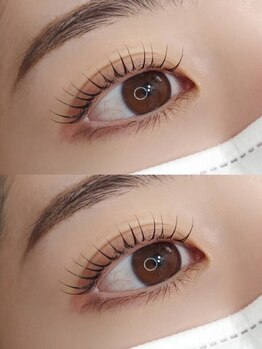 ロアー(Loar)の写真/高濃度Tr《ダメージレスまつげパーマ¥4400》マンツーマン施術で"毛先1mmまでこだわる"満足度の高い施術◎