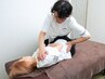 【どこに行っても改善しなかった方】17年・38,250人の実績◎根本から全身調整