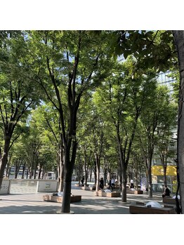 ポーラ ザ ビューティ さいたま新都心/さいたま新都心の風景