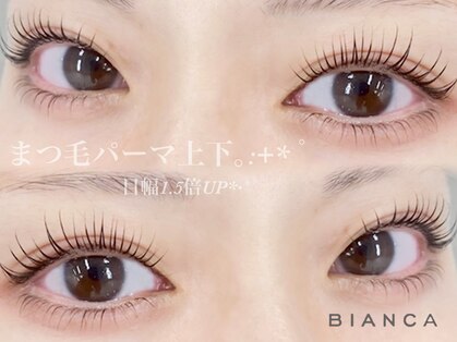 ビアンカ 亀戸店(Bianca)の写真