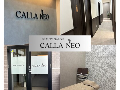 カラー(Calla)の写真