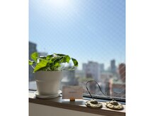 エイト(EIGHT8)の雰囲気（光が差し込む明るいスタジオ）