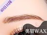 【40日以降】美眉WAX(毛量調整付き)