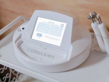 ベルファム(VELLE FEMME)/微弱電流を用いたセルラム