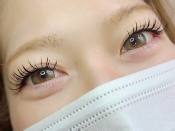 トランク(Trunk)/フラットラッシュ140本