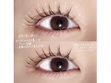 ソア 並木坂店(Soa)/猫ロッド！