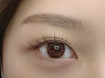 エム ラッシュ(M Lash)/フラット100本