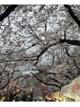 アイリー 近くの小頭公園桜が綺麗でしたご近所様どうぞいらっしゃいませ♪
