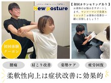 ニューポスチャー(New posture)
