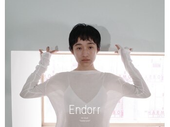 エンドア(Endorr)