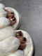 ユルックネイル(yluck nail)の写真/【夏の間だけなんて勿体ない！キラキラフットネイル】親指アートで足元を華やかに♪